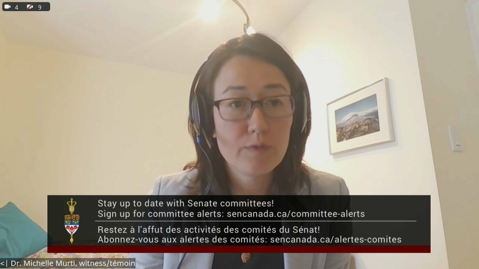 In Committee from the Senate of Canada : Social Affairs, Science and Technology – October 29, 2025