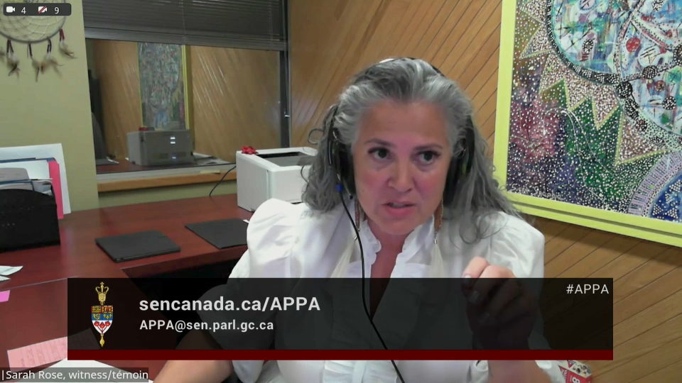 In Committee from the Senate of Canada : Indigenous Peoples – October 22, 2025