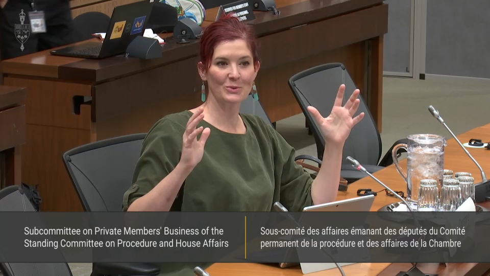 Les comités de la chambre des communes : Sous-comité des affaires émanant des députés du Comité perm. – 18 novembre 2025