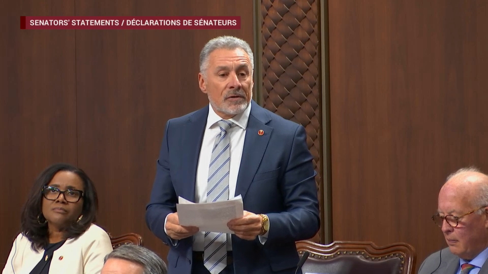 Délibérations du Sénat : 19 novembre 2025