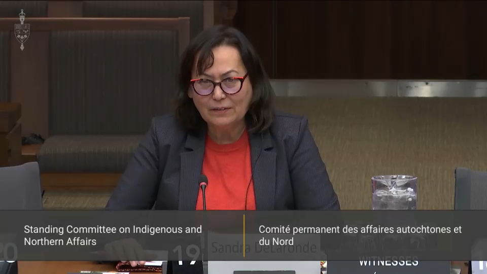 In Committee from the House of Commons : Indigenous and Northern Affairs – November 26, 2025
