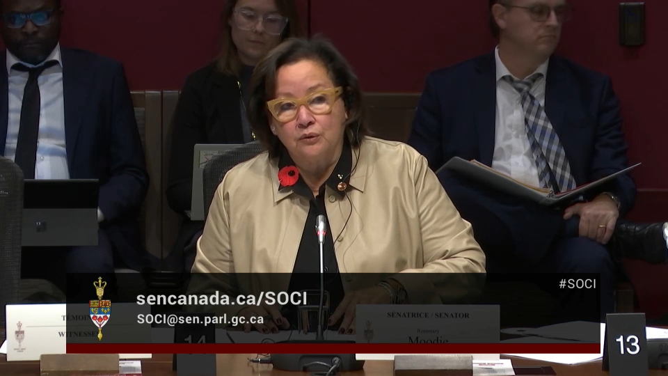 In Committee from the Senate of Canada : Social Affairs, Science and Technology – November 5, 2025