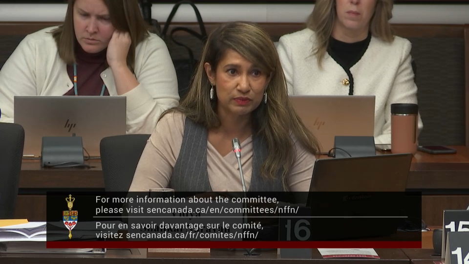 In Committee from the Senate of Canada : National Finance – November 25, 2025