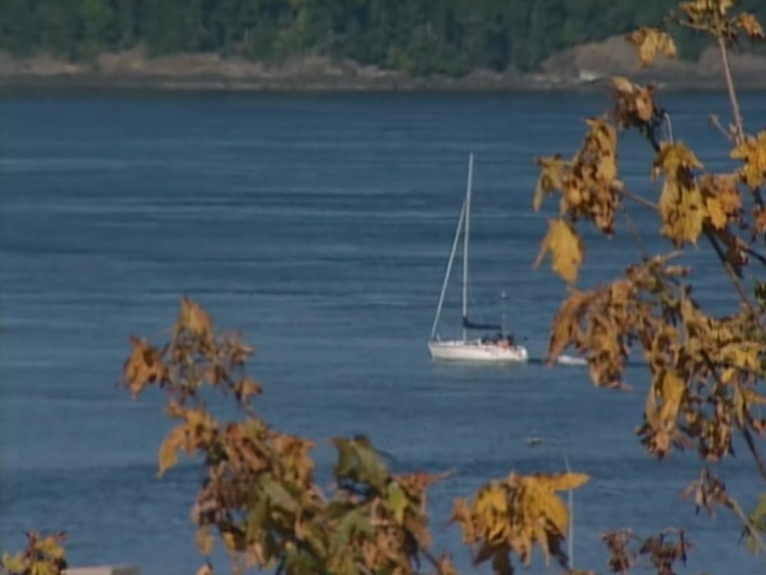 Campaign Politics : Vote 2008 – Vancouver Island North, British Columbia