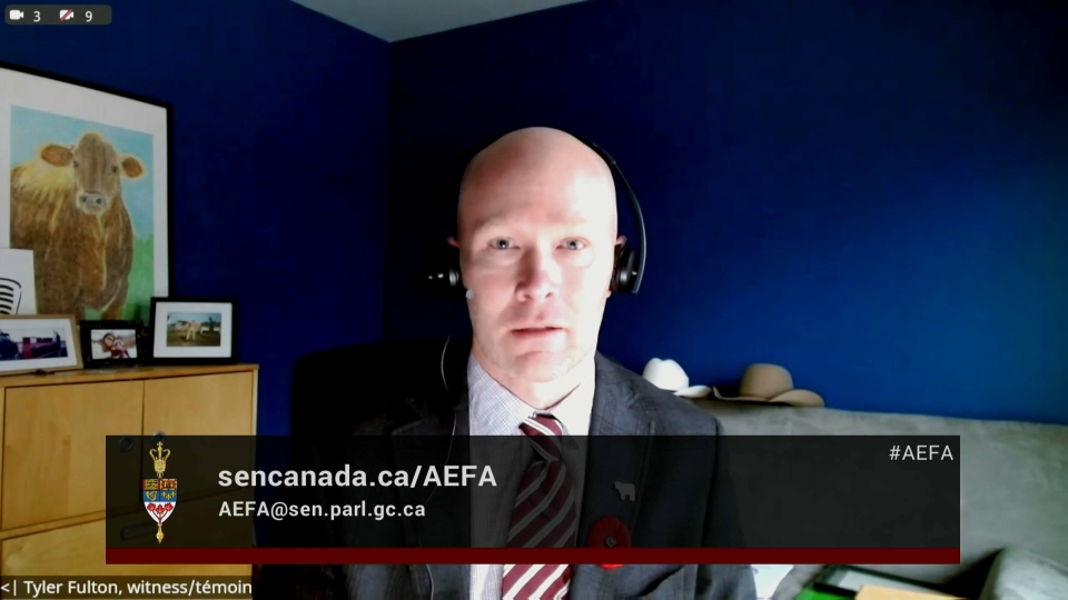 In Committee from the Senate of Canada : Foreign Affairs and International Trade – November 6, 2025