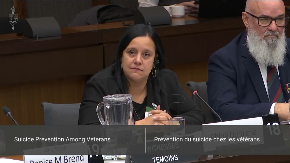 In Committee from the House of Commons : Veterans Affairs – November 27, 2025