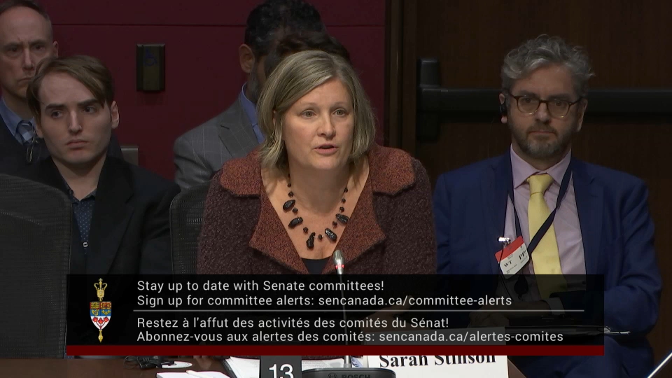 In Committee from the Senate of Canada : Legal and Constitutional Affairs – November 19, 2025