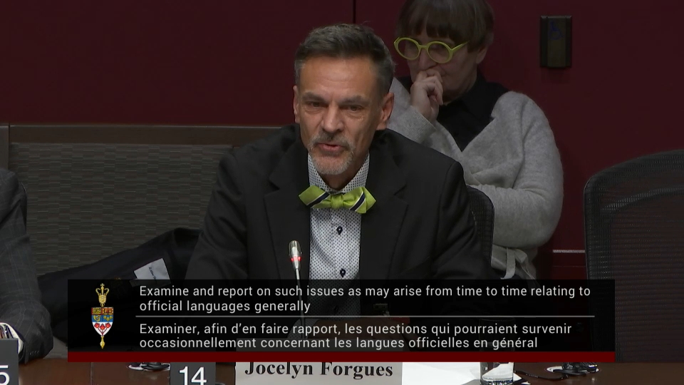 In Committee from the Senate of Canada : Official Languages – November 24, 2025
