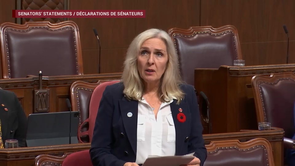 Délibérations du Sénat : 5 novembre 2025