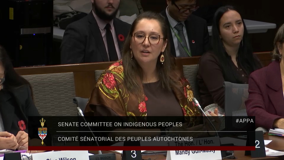 In Committee from the Senate of Canada : Indigenous Peoples – November 5, 2025
