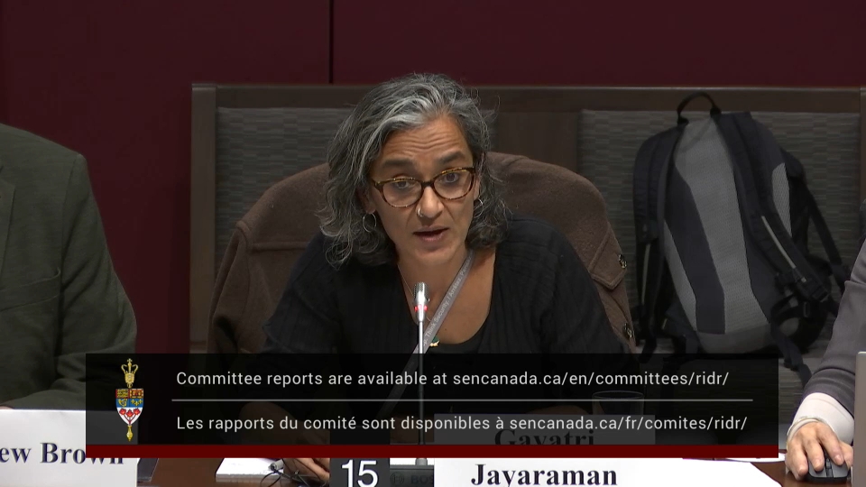 In Committee from the Senate of Canada : Human Rights – December 1, 2025