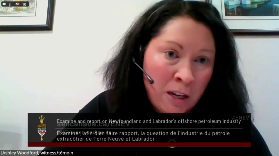 In Committee from the Senate of Canada : Energy, the Environment and Natural Resources – November 25, 2025