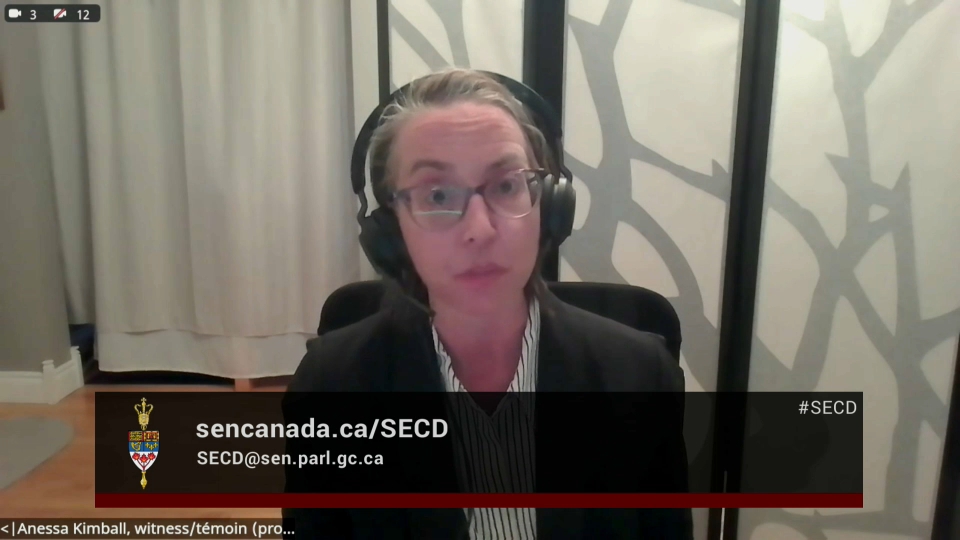 In Committee from the Senate of Canada : National Security, Defence and Veterans Affairs – November 24, 2025