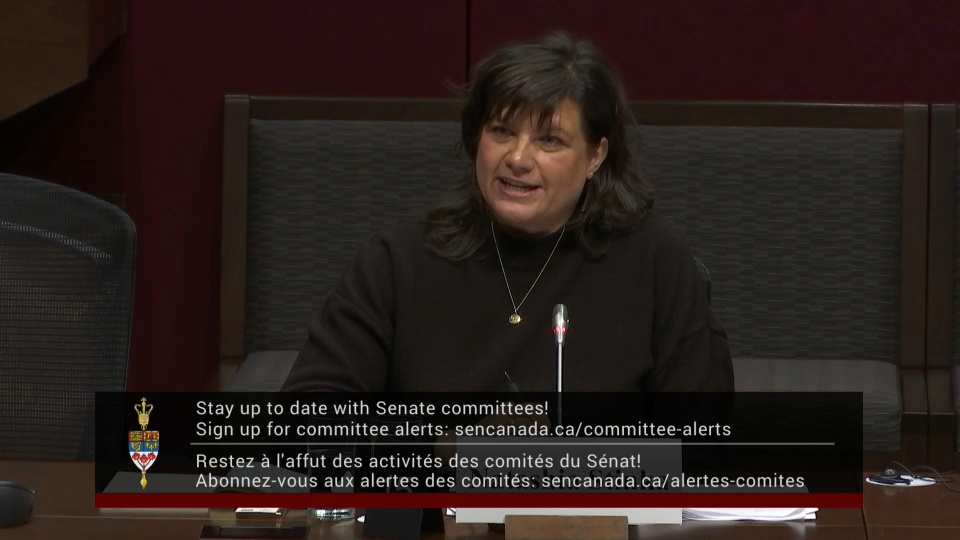 In Committee from the Senate of Canada : Transport and Communications – November 18, 2025