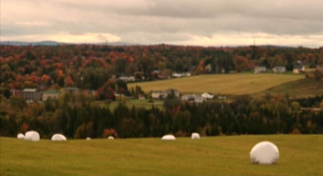 Campaign Politics : Vote 2008 – Sherbrooke