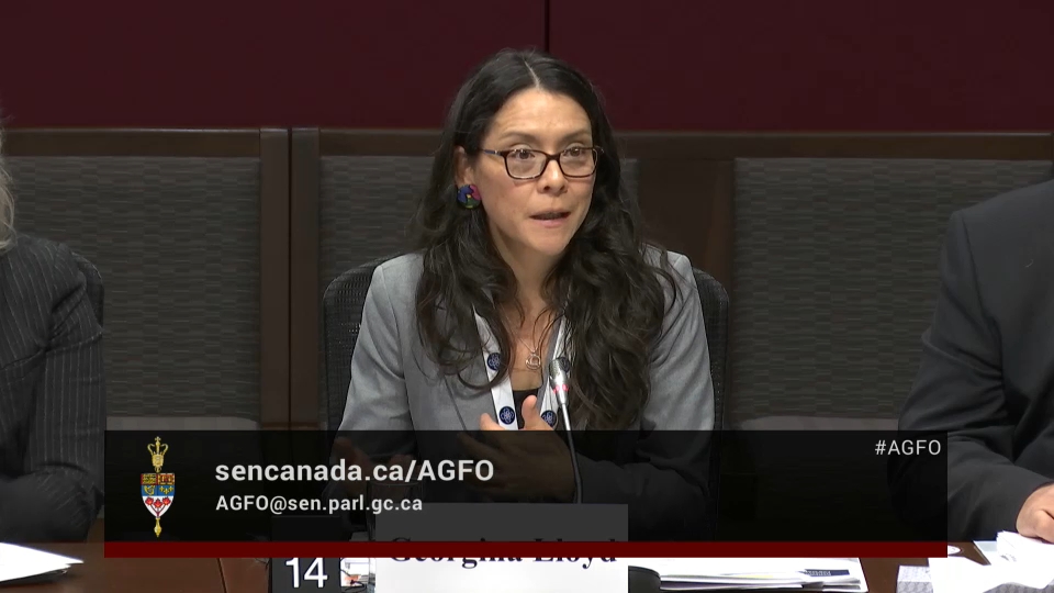 In Committee from the Senate of Canada : Agriculture and Forestry – November 20, 2025