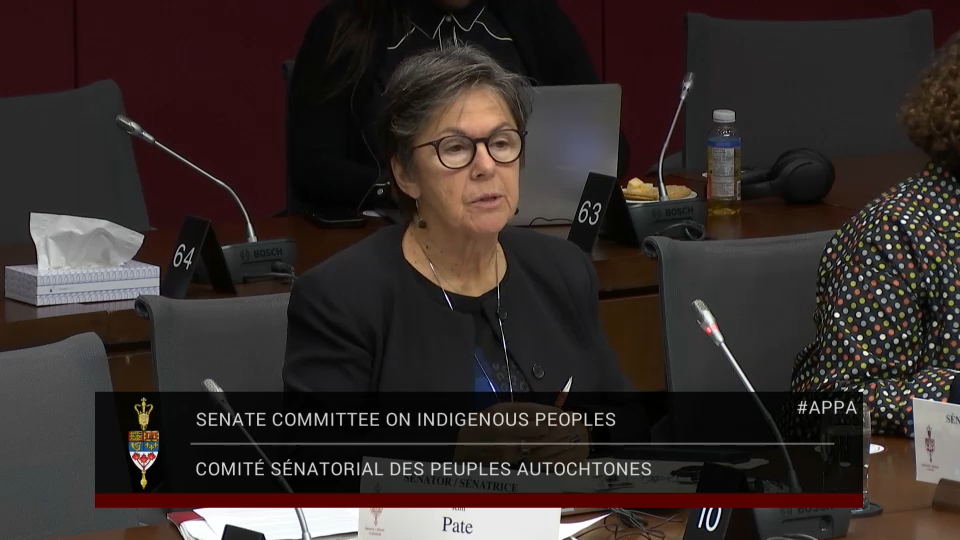 In Committee from the Senate of Canada : Indigenous Peoples – November 19, 2025