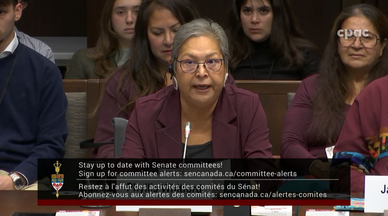 In Committee from the Senate of Canada : Indigenous Peoples – November 4, 2025