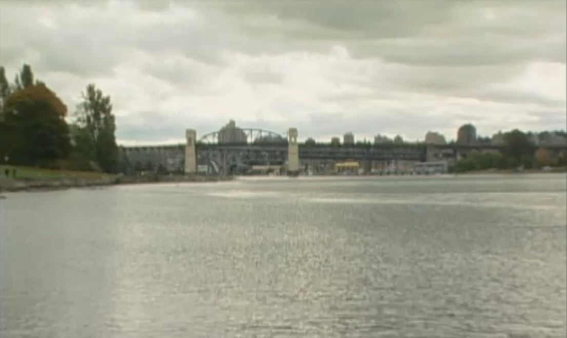 Campaign Politics : Vote 2008 – Vancouver Centre