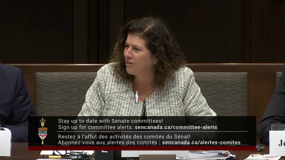 In Committee from the Senate of Canada : National Security, Defence and Veterans Affairs – December 1, 2025