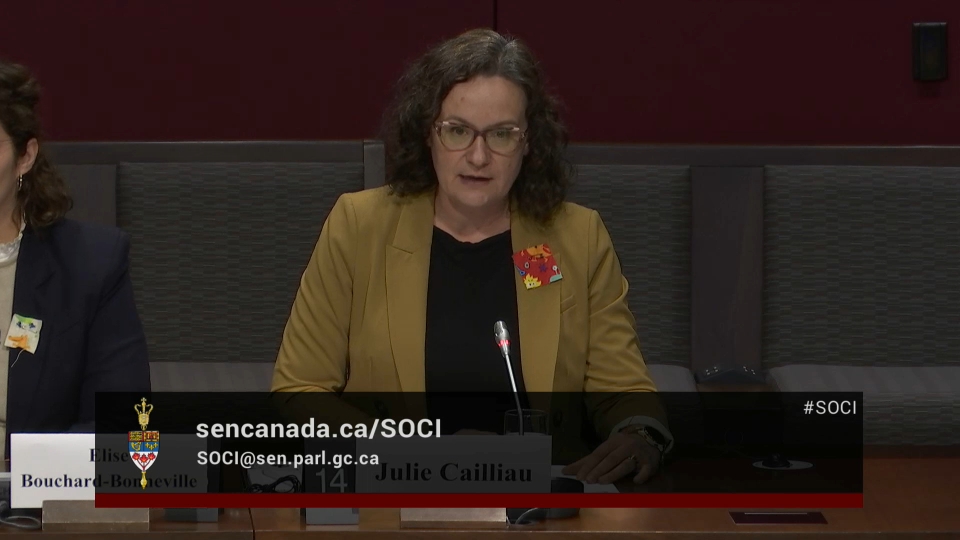 In Committee from the Senate of Canada : Social Affairs, Science and Technology – November 26, 2025