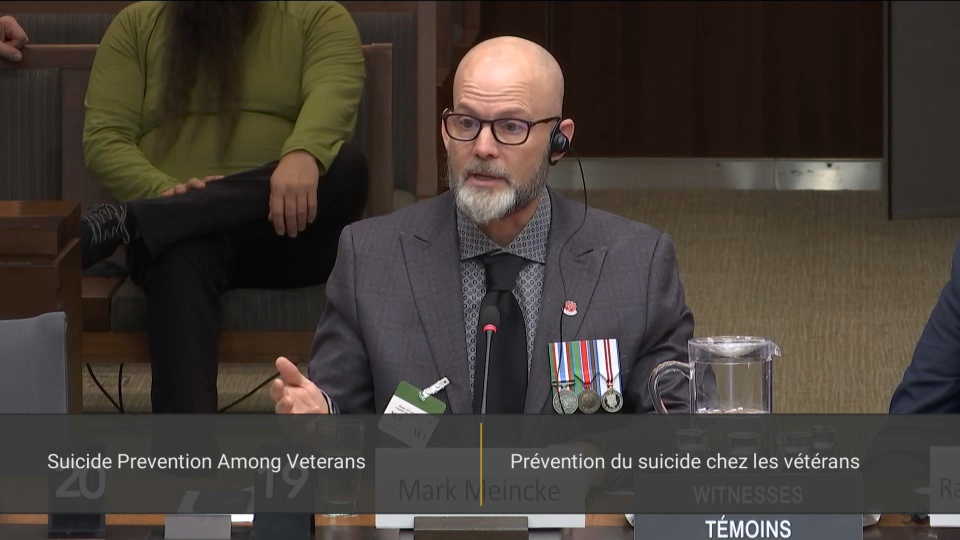 In Committee from the House of Commons : Veterans Affairs – November 20, 2025