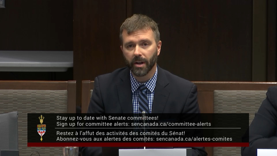 In Committee from the Senate of Canada : National Security, Defence and Veterans Affairs – November 17, 2025