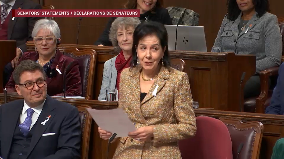 Senate Proceedings : December 4, 2025