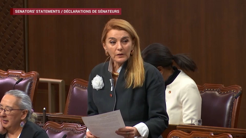 Senate Proceedings : December 3, 2025