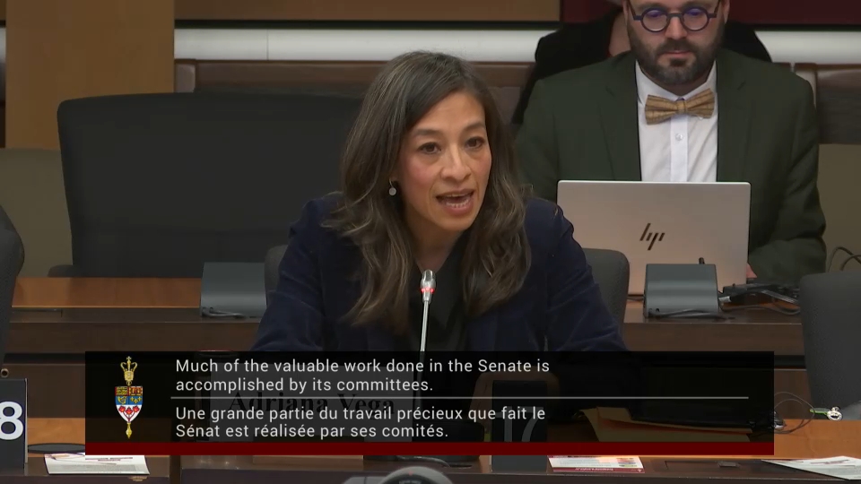 In Committee from the Senate of Canada : Banking, Commerce and the Economy – December 10, 2025 (2 of 2)