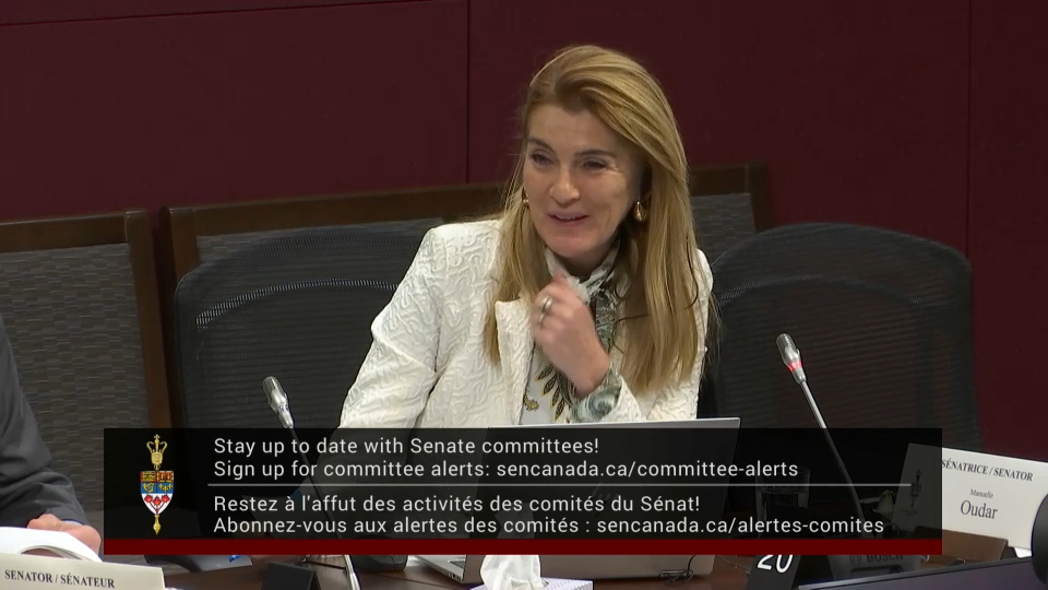 In Committee from the Senate of Canada : Legal and Constitutional Affairs – December 10, 2025