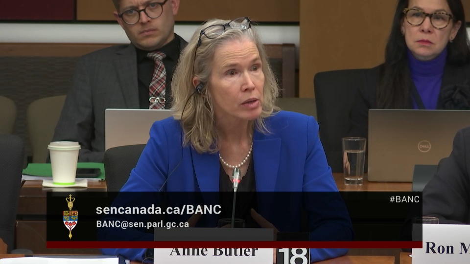 In Committee from the Senate of Canada : Banking, Commerce and the Economy – December 10, 2025 (1 of 2)