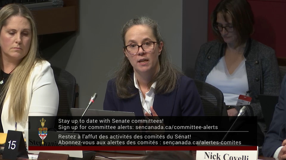 In Committee from the Senate of Canada : Energy, the Environment and Natural Resources – December 2, 2025