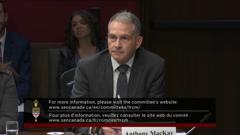 In Committee from the Senate of Canada : Transport and Communications – December 3, 2025