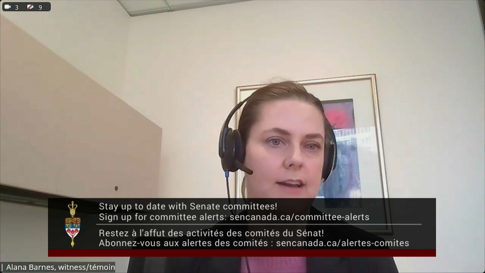 In Committee from the Senate of Canada : Banking, Commerce and the Economy – December 4, 2025