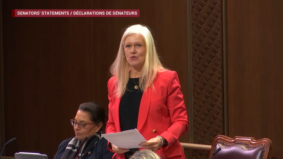 Délibérations du Sénat : 10 décembre 2025