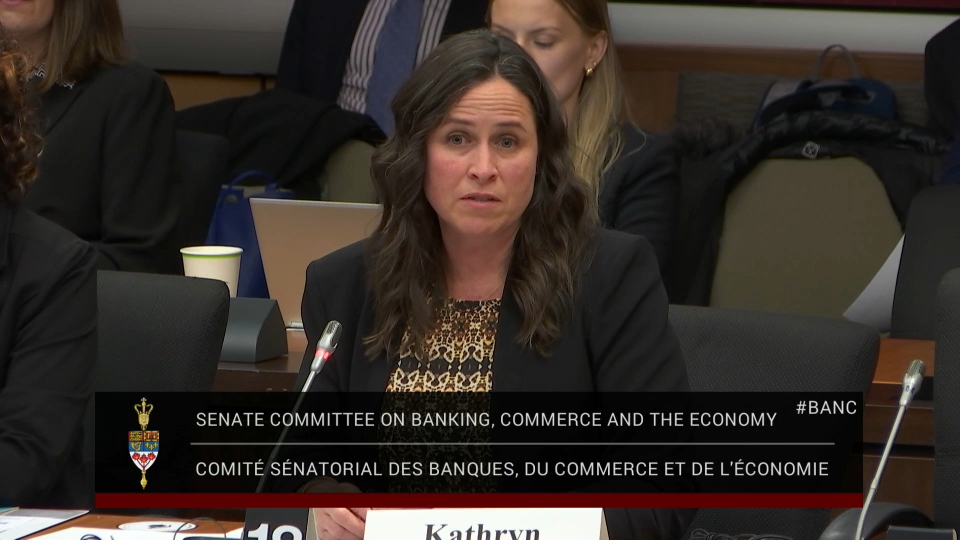 In Committee from the Senate of Canada : Banking, Commerce and the Economy – December 3, 2025