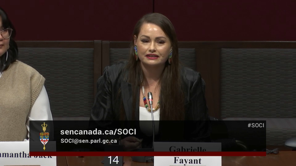 In Committee from the Senate of Canada : Social Affairs, Science and Technology – December 10, 2025