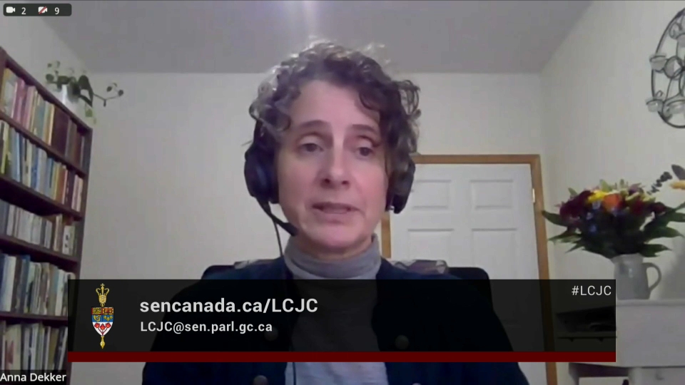 In Committee from the Senate of Canada : Legal and Constitutional Affairs – December 3, 2025