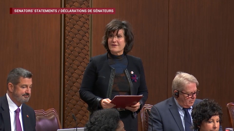 Senate Proceedings : February 24, 2026