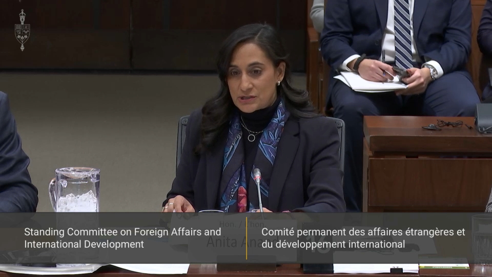 In Committee from the House of Commons : Foreign Affairs and International Development – February 3, 2026