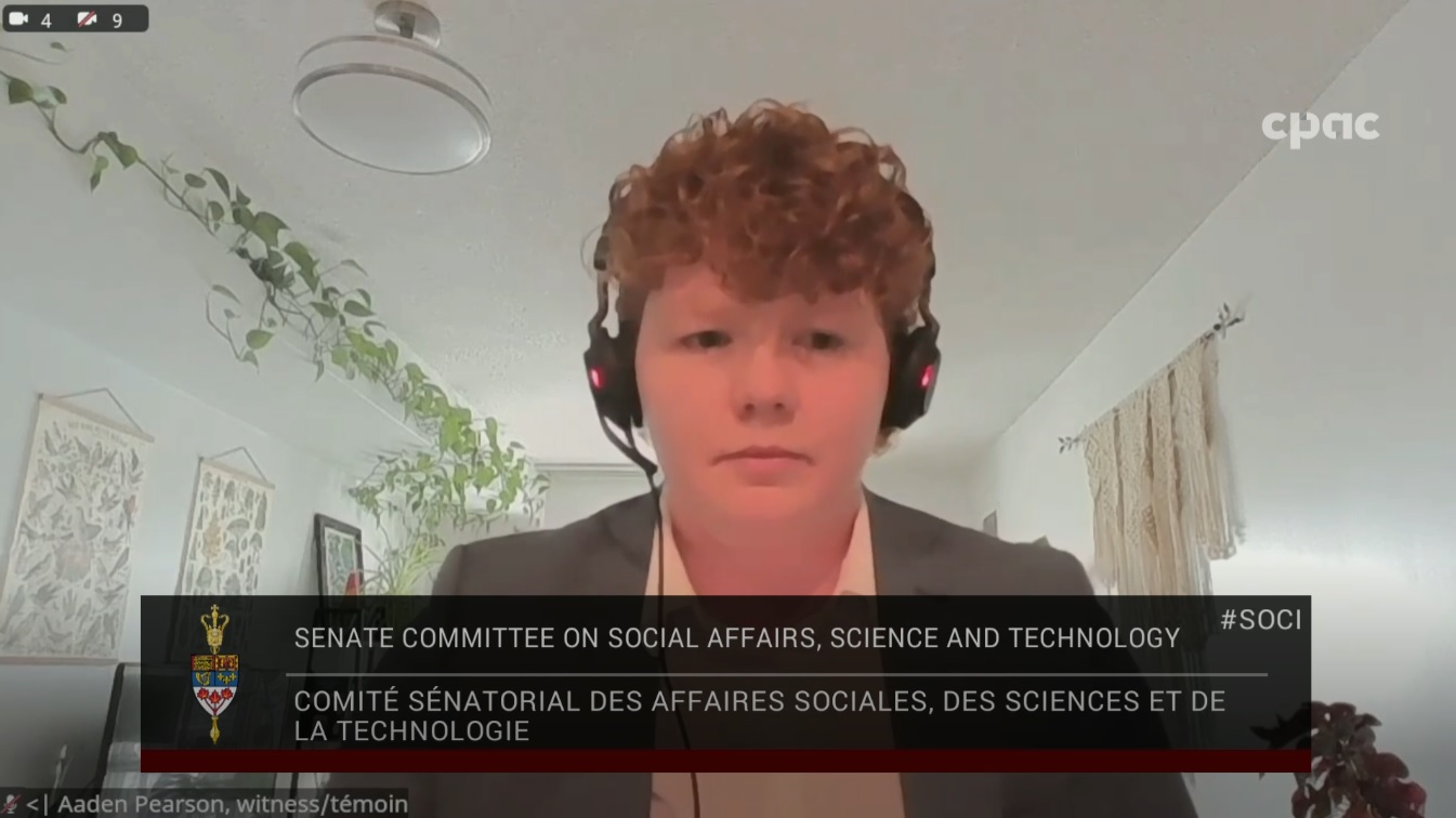 Les comités du Sénat : Affaires sociales, sciences et technologie – 12 février 2026