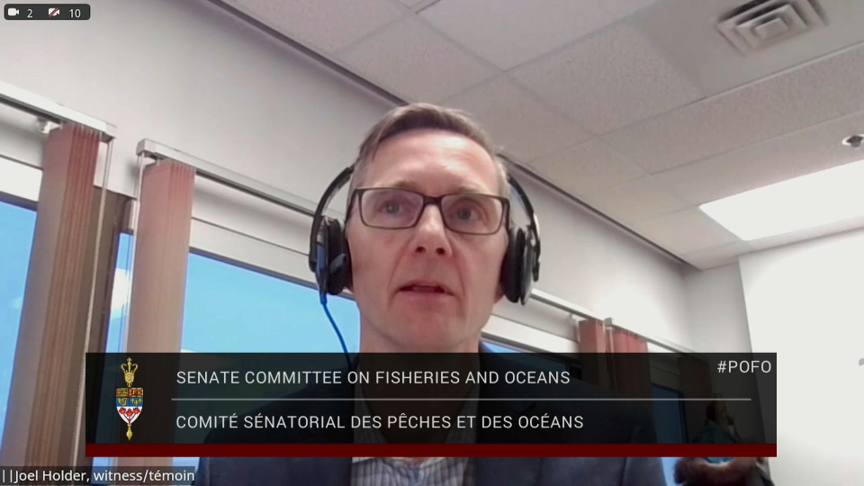 In Committee from the Senate of Canada : Fisheries and Oceans – February 3, 2026