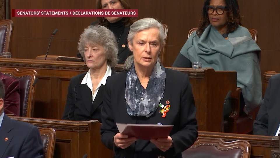 Senate Proceedings : Statements in the Senate on the Tumbler Ridge Mass Shooting – February 11, 2026