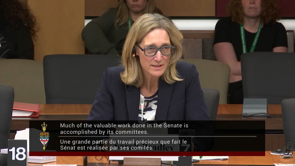 In Committee from the Senate of Canada : Banking, Commerce and the Economy – February 4, 2026