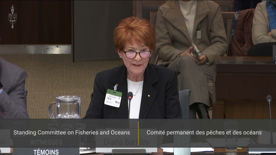 In Committee from the House of Commons : Fisheries and Oceans – February 4, 2026