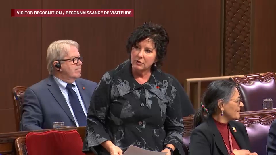 Senate Proceedings : February 10, 2026