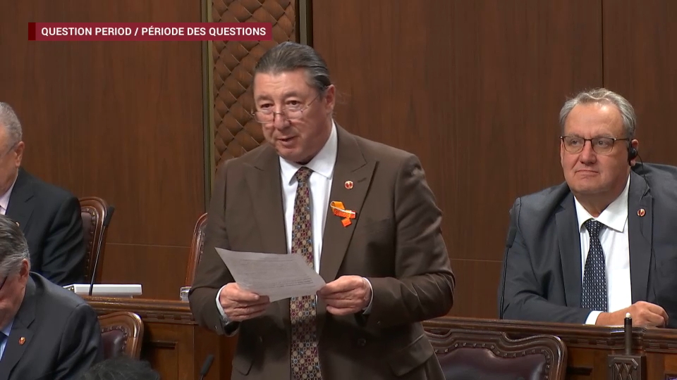 Senate Question Period : February 25, 2026
