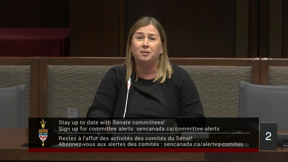 Les comités du Sénat : Affaires étrangères et commerce international – 25 février 2026