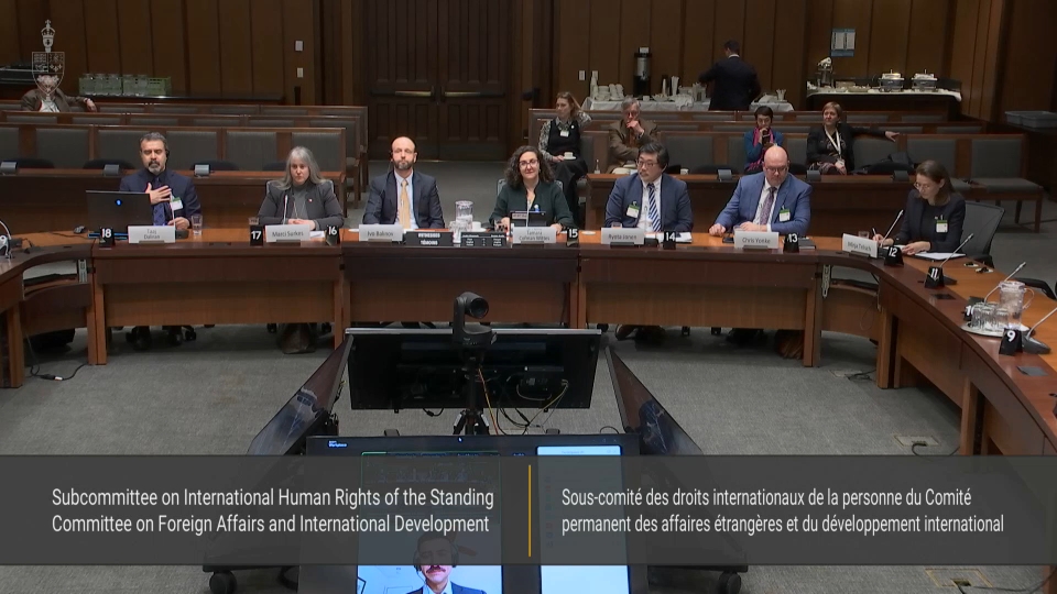 In Committee from the House of Commons : International Human Rights – February 9, 2026